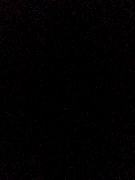 sexyboy224jp online show from 12-19-25, 11:56