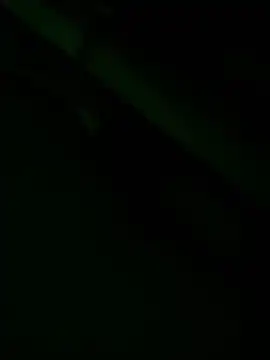 zoodangermind online show from 05-17-26, 12:08