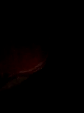 pritiqueen1001 online show from 12-13-25, 08:58