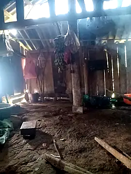 little-effy online show from 03-23-26, 04:27