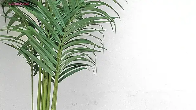 Snapshot of sebastamayo_ chatting on 01-09-26, 08:54 sebastamayo online show from 01-09-26, 08:54