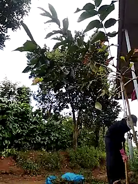 Snapshot of Metting88 chatting on 12-15-25, 01:21 Metting88 online show from 12-15-25, 01:21