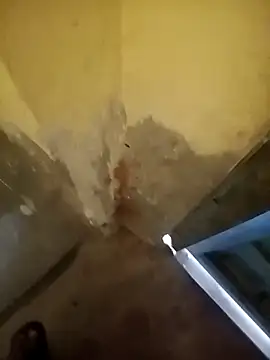 Snapshot of ahannaskar228 chatting on 12-22-25, 09:17 ahannaskar228 online show from 12-22-25, 09:17