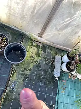 marcoboss online show from 01-14-26, 01:50