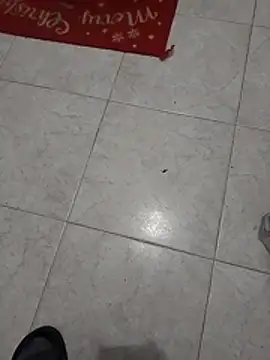 Mar81 online show from 01-12-26, 06:07