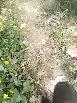 Snapshot of mohit08desi chatting on 01-19-26, 09:24 mohit08desi online show from 01-19-26, 09:24