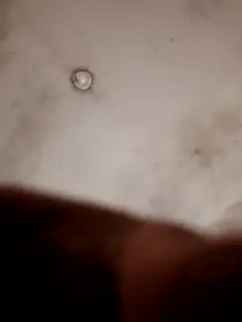 Casadocurioso50 online show from 04-07-26, 04:18