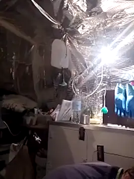 Quebec46 online show from 04-14-26, 09:37