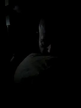 K9handler1 online show from 12-16-25, 11:32