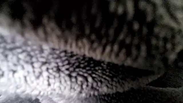 Saarboy90 online show from 12-16-25, 12:54