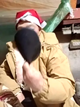 Lisaa09 online show from 01-06-26, 09:18