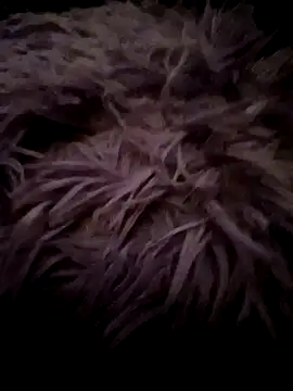 LilithAngle online show from 01-11-26, 07:46