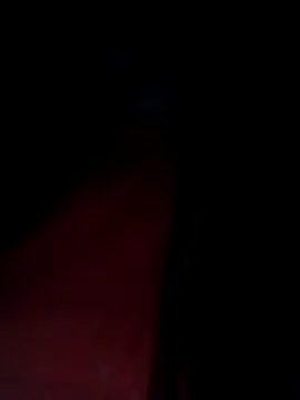 congchua977 online show from 02-04-26, 11:20