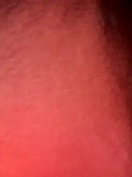 congchua977 online show from 02-05-26, 11:26