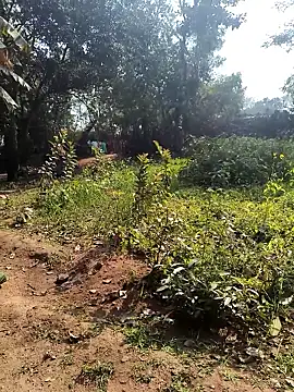 janbi sexe online show from 01-14-26, 05:46