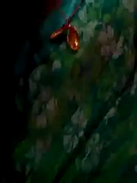 Snapshot of ramya_sri chatting on 02-02-26, 09:30 ramya sri online show from 02-02-26, 09:30