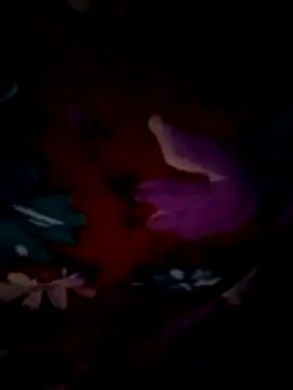 Snapshot of ramya_sri chatting on 02-21-26, 09:21 ramya sri online show from 02-21-26, 09:21