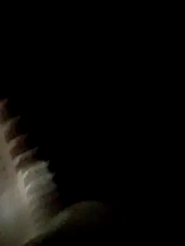 Fefe2805 online show from 04-01-26, 02:12