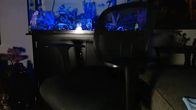 EspanolVato online show from 01-10-26, 10:50