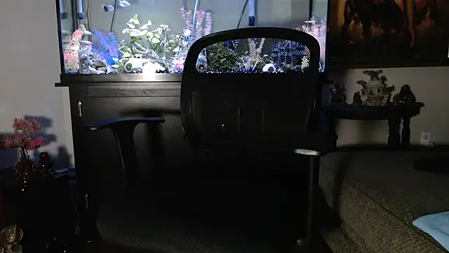 EspanolVato online show from 01-14-26, 12:05