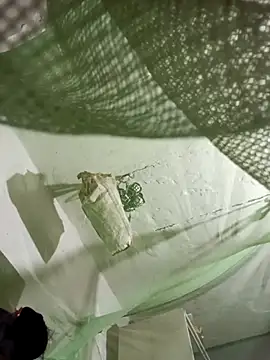 Jan 692 online show from 02-17-26, 02:57