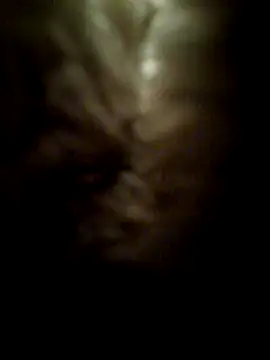 Snapshot of Frankyboy335 chatting on 07-05-26, 11:17 Frankyboy335 online show from 07-05-26, 11:17