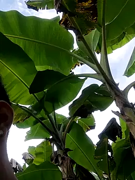 Wild and Sweets online show from 01-11-26, 07:52