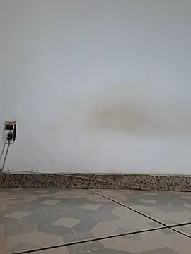 safadopass online show from 01-08-26, 06:43