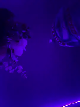 inconito-sex online show from 01-10-26, 06:37