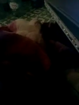 Snapshot of thich_lo chatting on 03-15-26, 04:35 thich lo online show from 03-15-26, 04:35