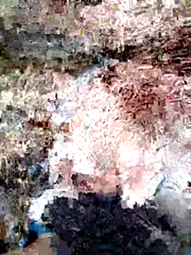 Snapshot of ParejaSutra69 chatting on 01-08-26, 10:56 ParejaSutra69 online show from 01-08-26, 10:56