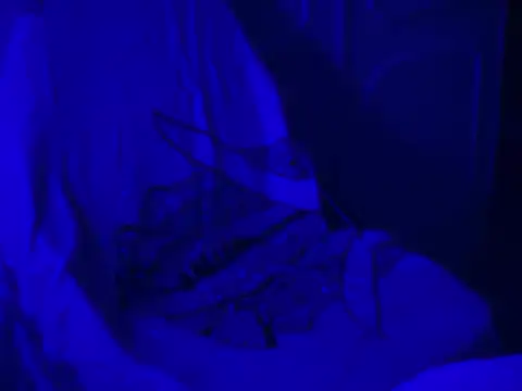 Snapshot of WarmSound chatting on 01-17-26, 08:52 WarmSound online show from 01-17-26, 08:52