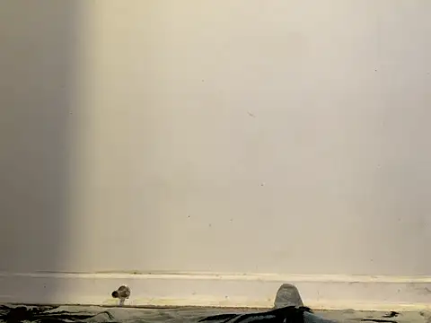 Snapshot of AnnoyedAnnual chatting on 01-15-26, 12:15 AnnoyedAnnual online show from 01-15-26, 12:15