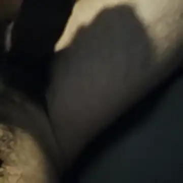 Snapshot of AnonymousTwinkie chatting on 03-27-26, 02:06 AnonymousTwinkie online show from 03-27-26, 02:06