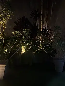 EmmaJhoons online show from 01-18-26, 05:44