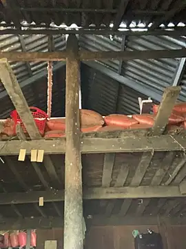 Naalyy online show from 03-26-26, 03:34