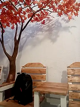 Dante Knox online show from 04-17-26, 11:02