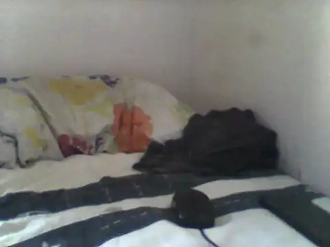 Snapshot of handsomeguy02 chatting on 04-14-26, 02:45 handsomeguy02 online show from 04-14-26, 02:45