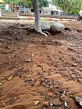 Snapshot of lunarous98 chatting on 01-13-26, 05:18 lunarous98 online show from 01-13-26, 05:18