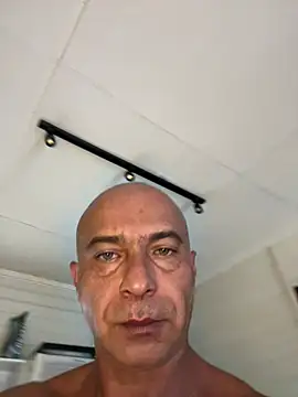 dogfrota online show from 03-08-26, 05:39