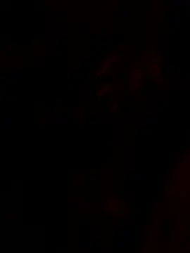 Snapshot of tropicalpied chatting on 01-16-26, 04:38 tropicalpied online show from 01-16-26, 04:38