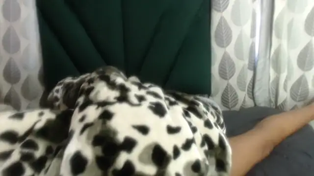 Nellybba online show from 03-27-26, 05:46