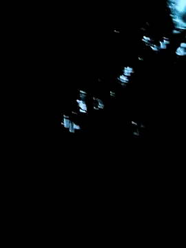 Diana-02 online show from 04-15-26, 10:32