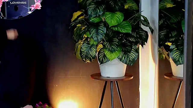 Noaah25  online show from 04-10-26, 03:23