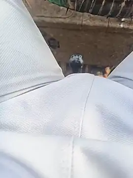 Snapshot of Hot_BoyDick-Telugu chatting on 01-15-26, 07:57 Hot BoyDick-Telugu online show from 01-15-26, 07:57