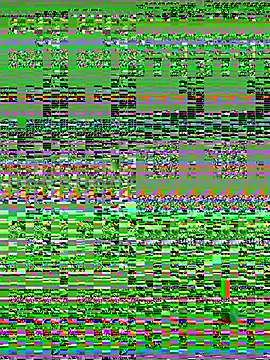 Wicy23 online show from 05-14-26, 03:35