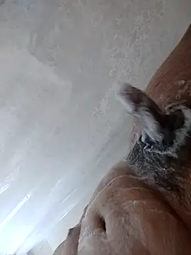 Snapshot of daringprince chatting on 01-17-26, 06:22 daringprince online show from 01-17-26, 06:22