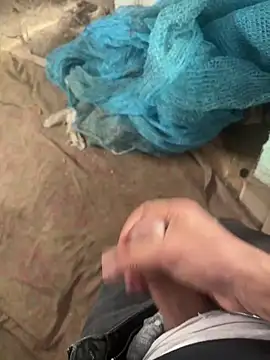 dragon ndragos online show from 02-03-26, 11:37