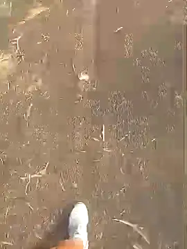 jhenyseducao online show from 03-18-26, 11:02