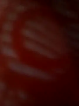 ROMASARKAR online show from 03-21-26, 12:10